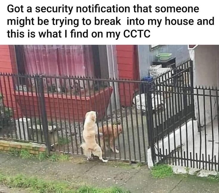 Прикольный забор