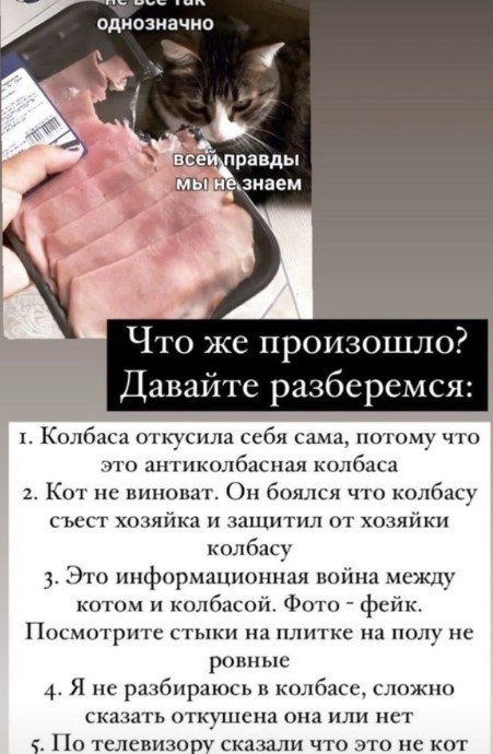 Не все так однозначно кот и колбаса