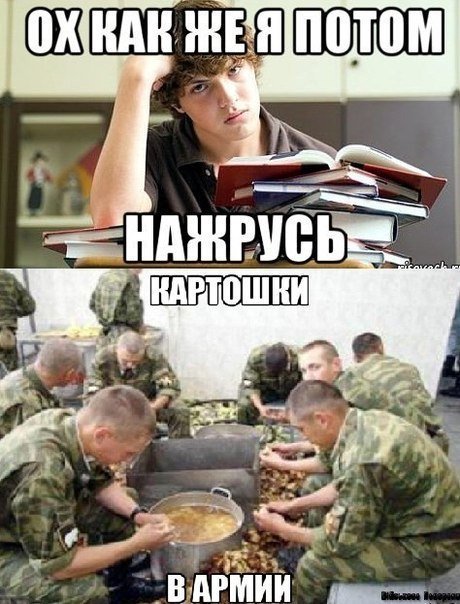 Студент армия