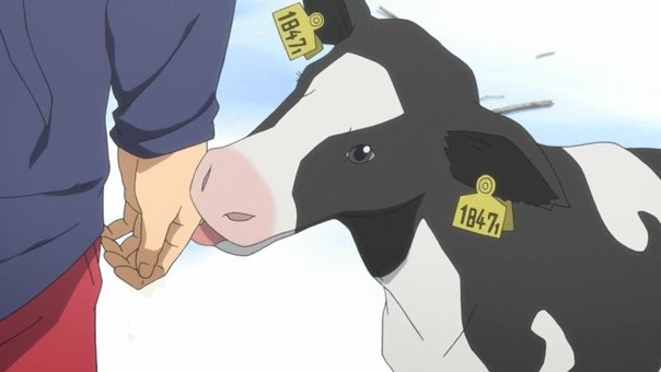 Девочка корова аниме