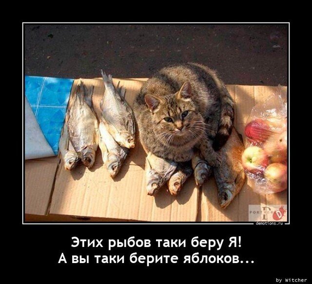 Кот с рыбой