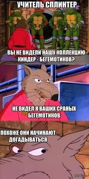 Сплинтер мемы