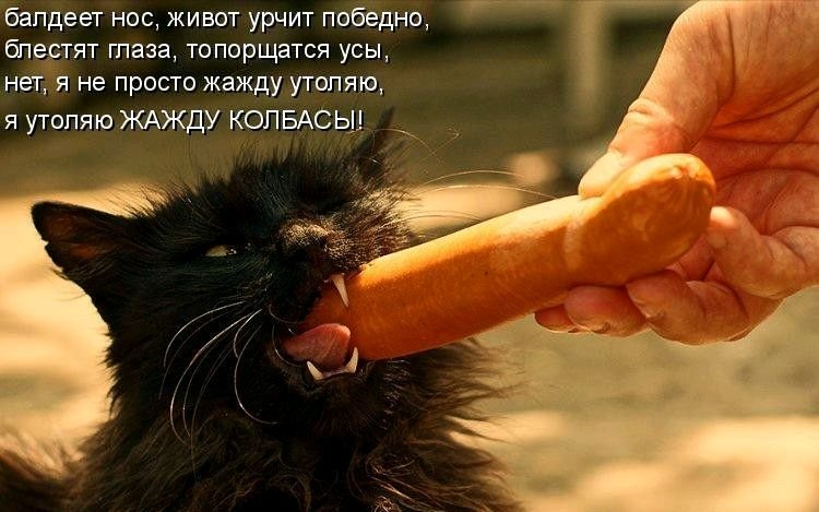 Смешная сосиска