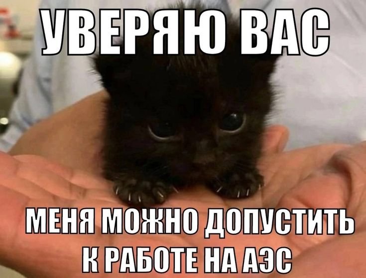 Мем уверяю вас с котом