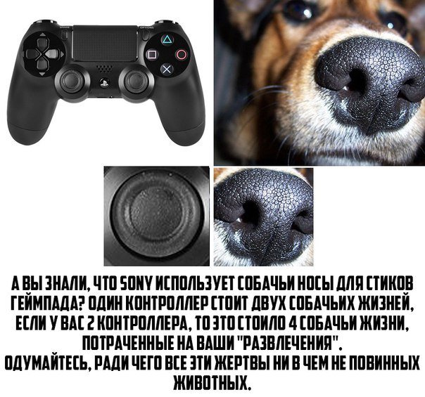 Геймпад из собачьего носа