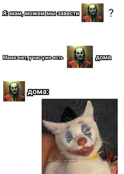 Котик Джокер Мем
