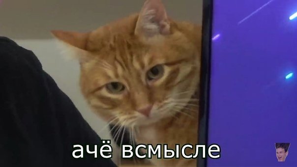 А че всмысле Мем