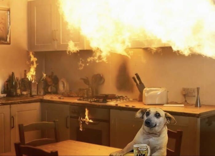Пес в горящем доме