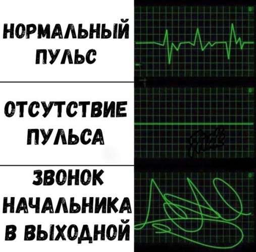 Мемы с пульсом