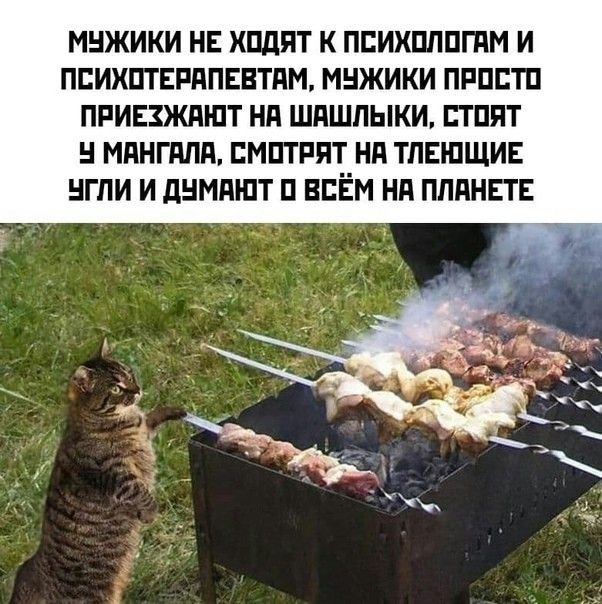 Шашлыки