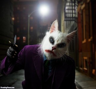 Котэ Джокера