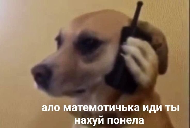 Алло психушка Мем с собакой