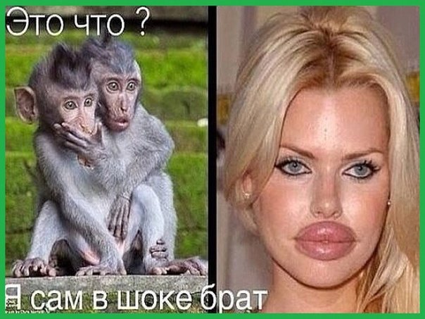 Обезьяна с накаченными губами