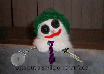 Джокер выктолдудка кот