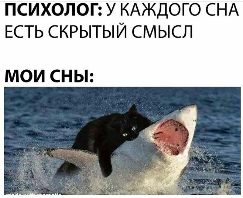 Мои сны мемы