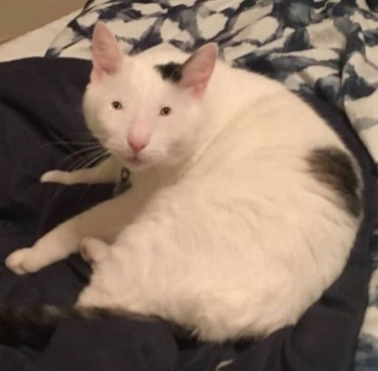 Когда сняла ресницы картинки смешные