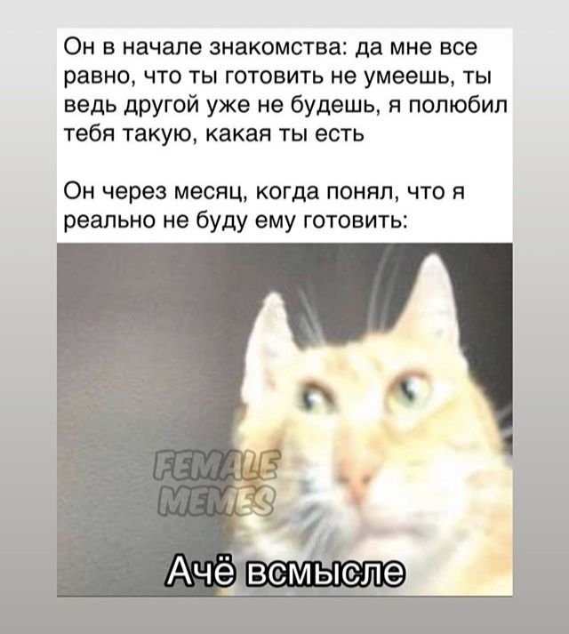 А че в смысле Мем кот