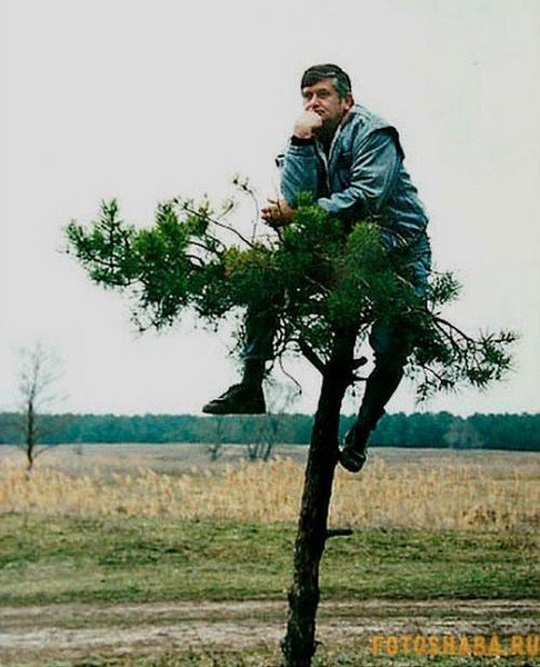 Человек за деревом