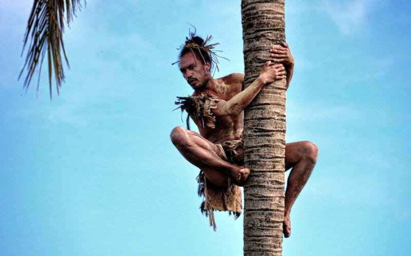 Человек лезет на пальму