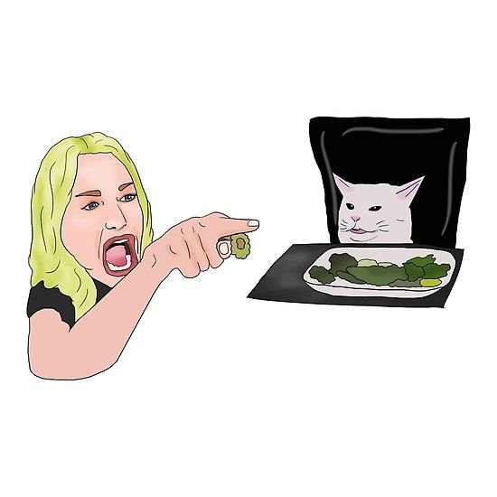 Мем женщина и кот