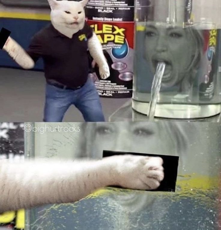 Мемы про скотч