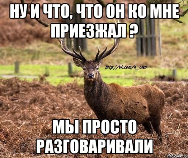 Олень Мем