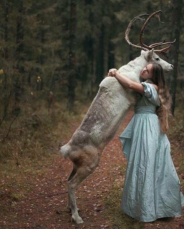 Человек обнимает оленя