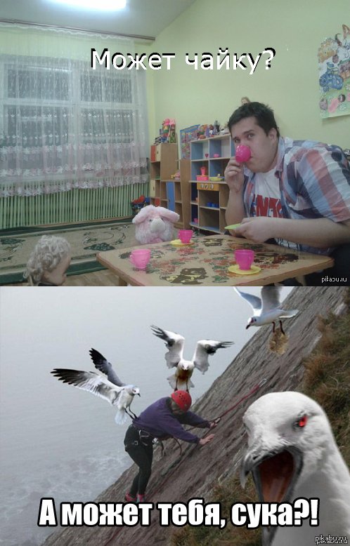 Чайку а может тебя Мем