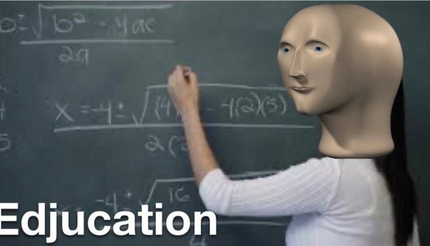 Стонкс учеба