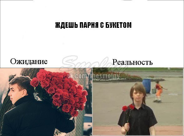 Приколы про цветы