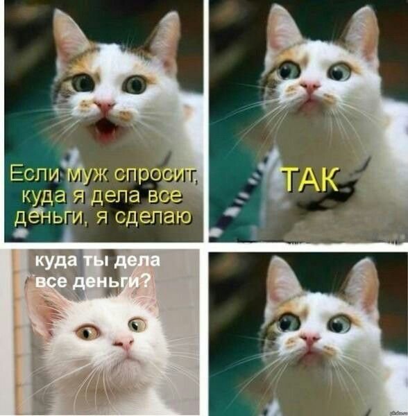 Где деньги какие деньги