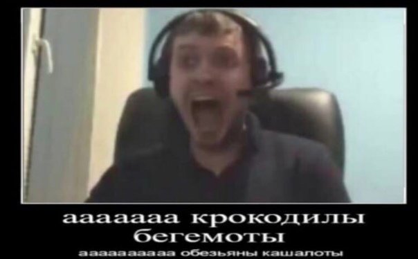 Крокодилы-Бегемоты обезьяны-Кашалоты Мем