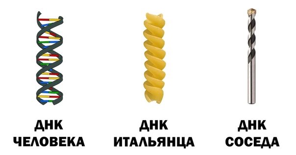 ДНК соседа