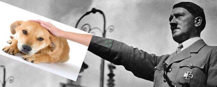 Doge Гитлер