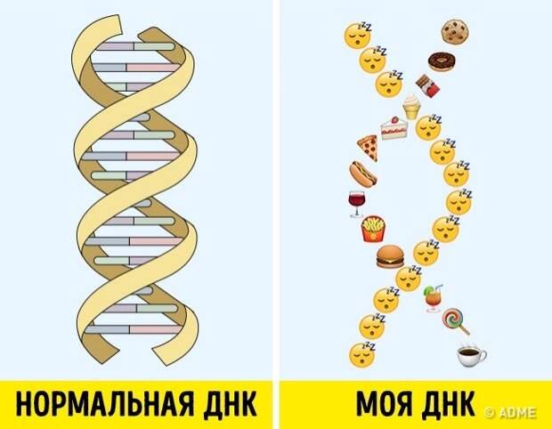 ДНК рисунок