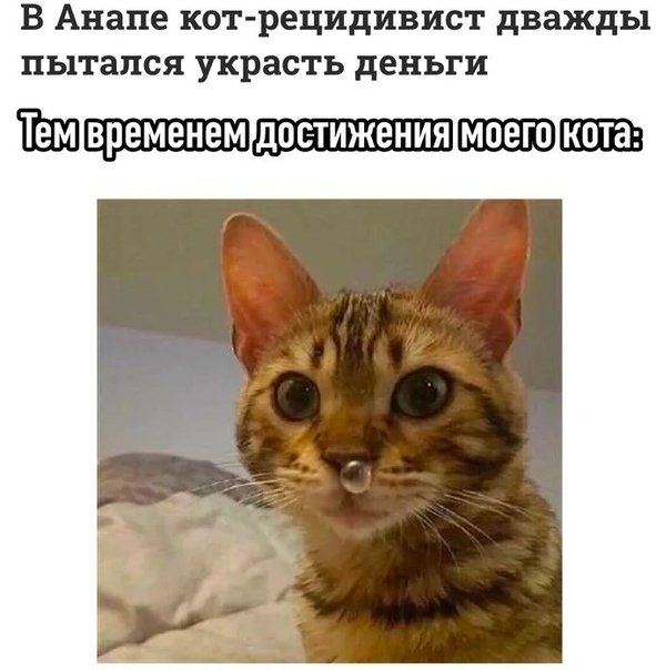 RJN C ggepshtv BP yjcf