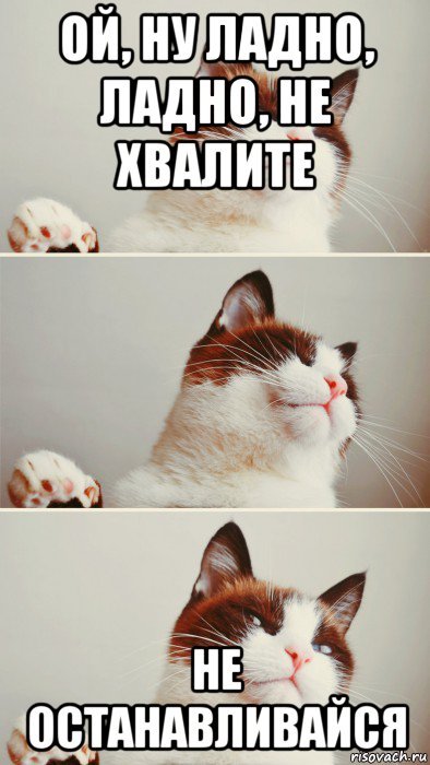 Мем Ой да ладно продолжай