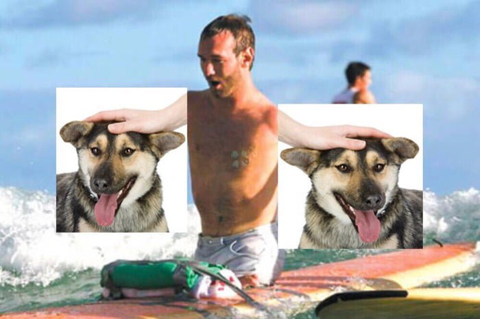 Мужчина гладит собаку