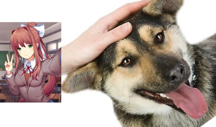 Гладит собаку