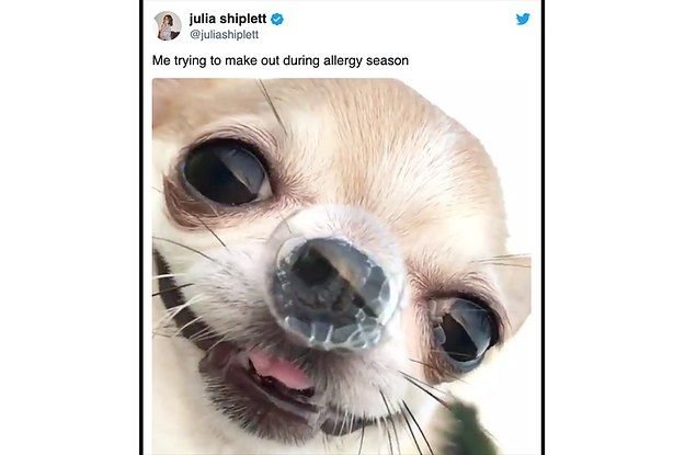 Собака с соплей пузырьком