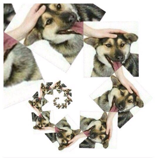 Собака Мем поглажу