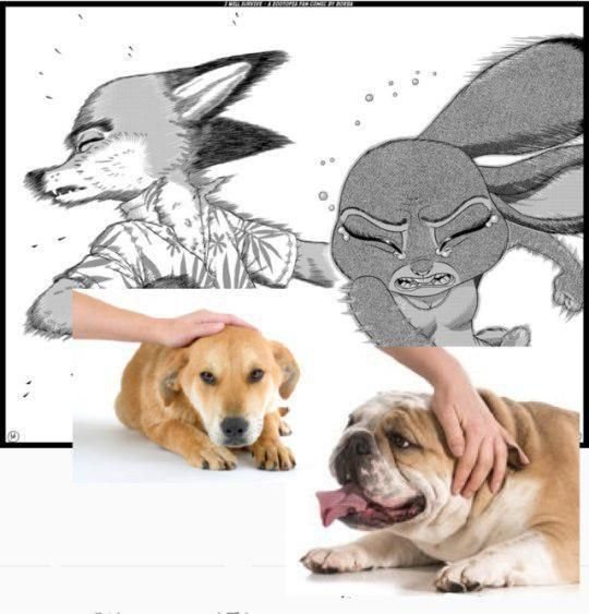 Гладит собаку