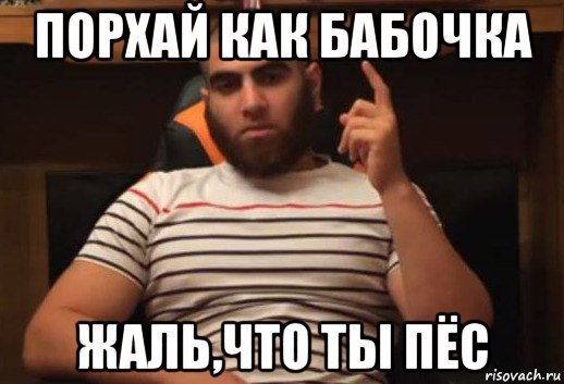 Ты че пес Мем