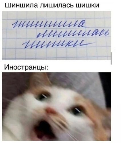Про мяукающего кота