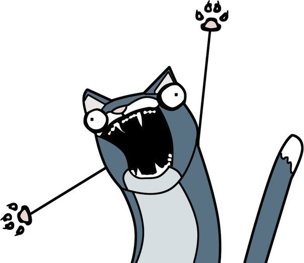 Мемы с котиками