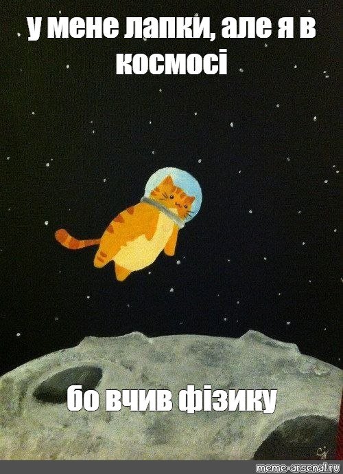 Кот космонавт