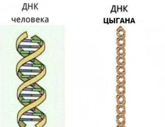 ДНК прикол