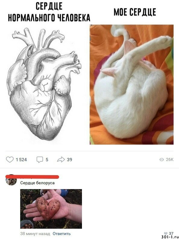 Мемы про сердце