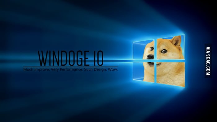 Винда с собакой