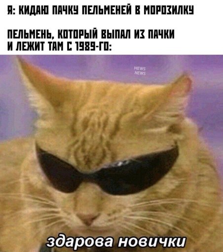 Пахнет бедностью Мем с котом
